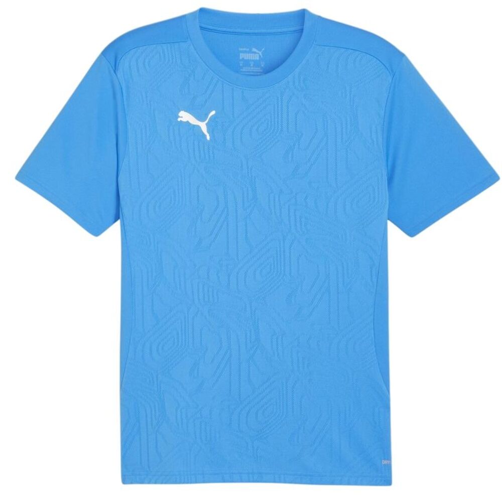 Puma Mens TeamFinal Training T-Shirt / Blue/Silver